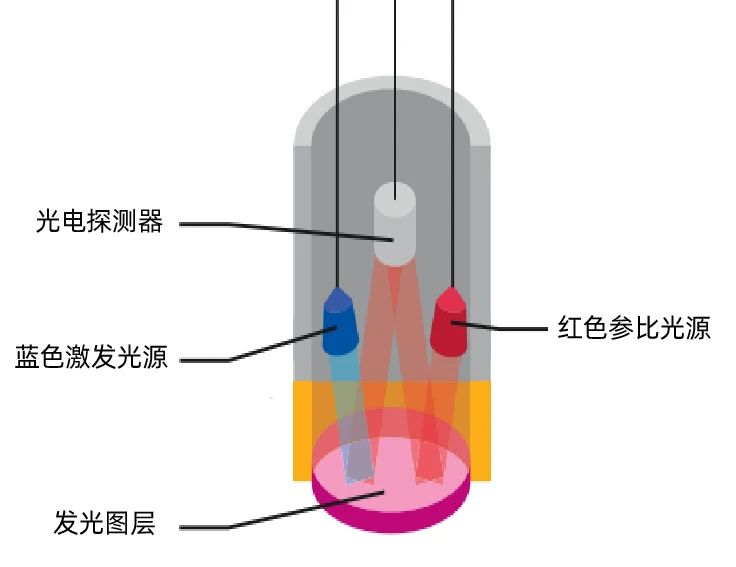 1732170708143775.png 圖片11.png